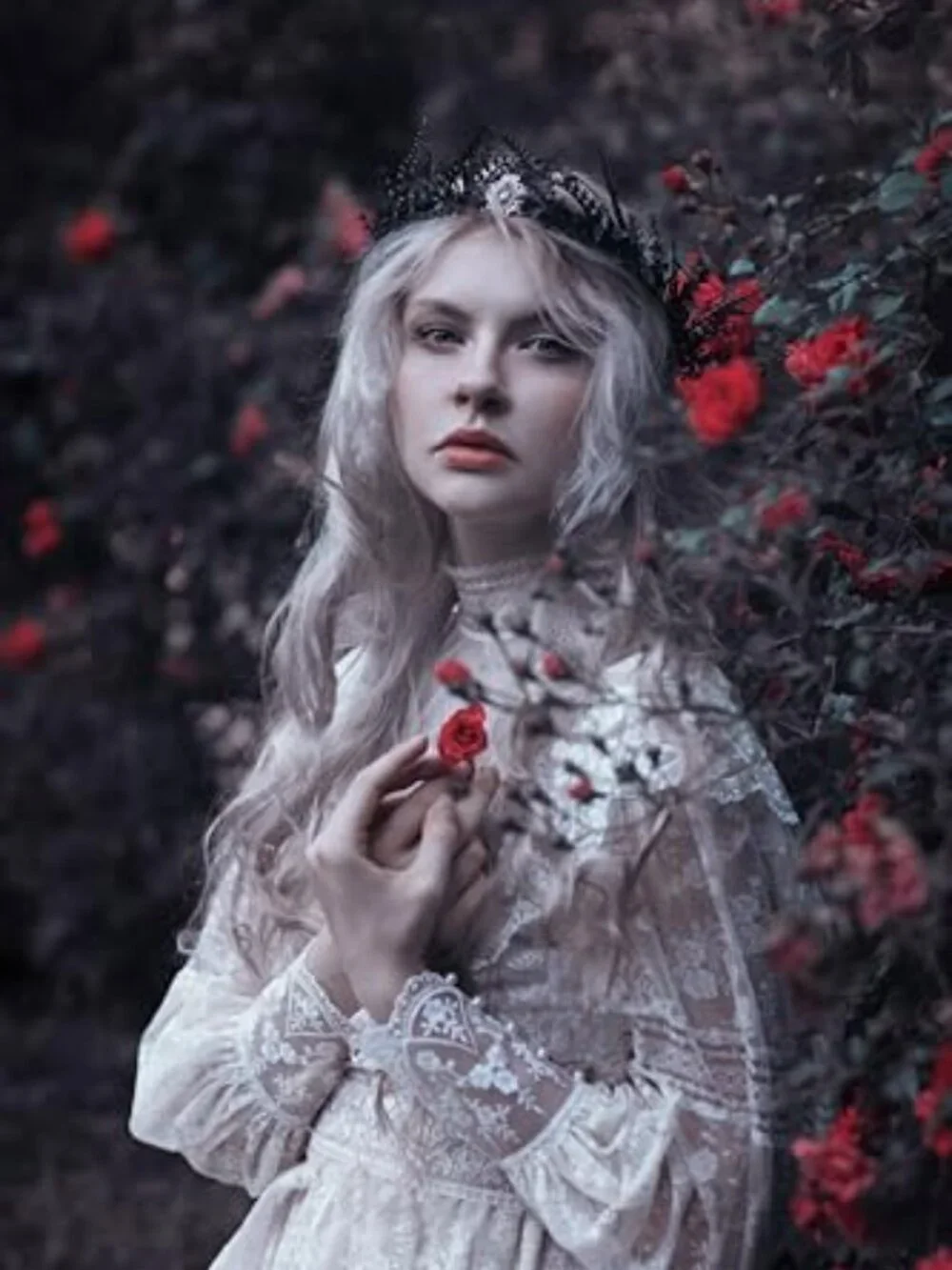 Handmade Gothic Flower Crown Twig Tiara Headpiece for Men Women Halloween